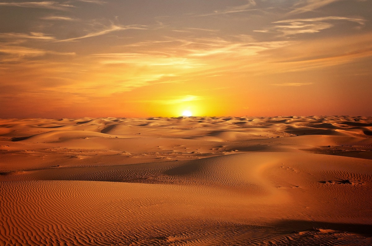 Desert_Sunset